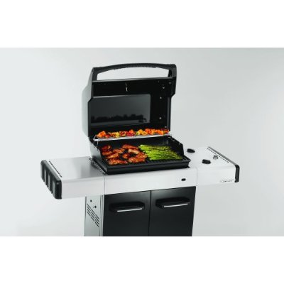 2 burner webber gas grill